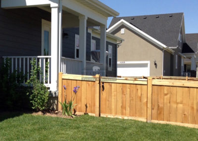 Cedar Protection Fence