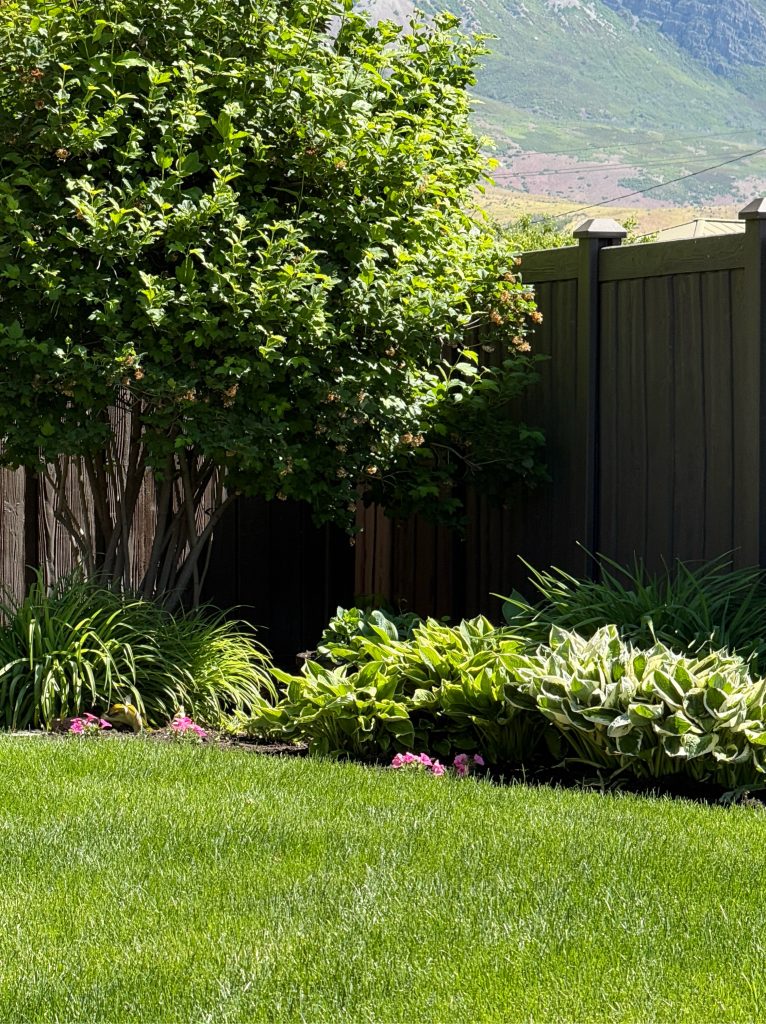 Simtek fence installed in Orem, Utah