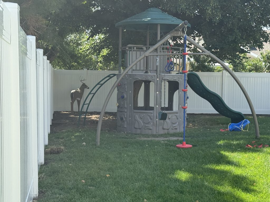 A nice vinyl privacy fence installed in Kaysville, Utah
